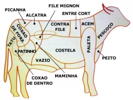 Quais as melhores carnes para churrasco? Saiba aqui