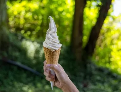 Entenda as diferenças entre sorvete expresso e italiano